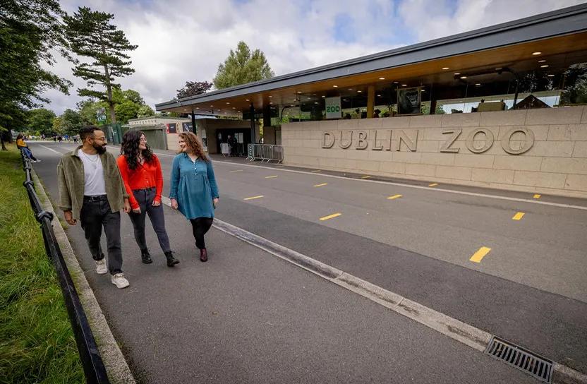 Exterior Wall of Dublin Zoo