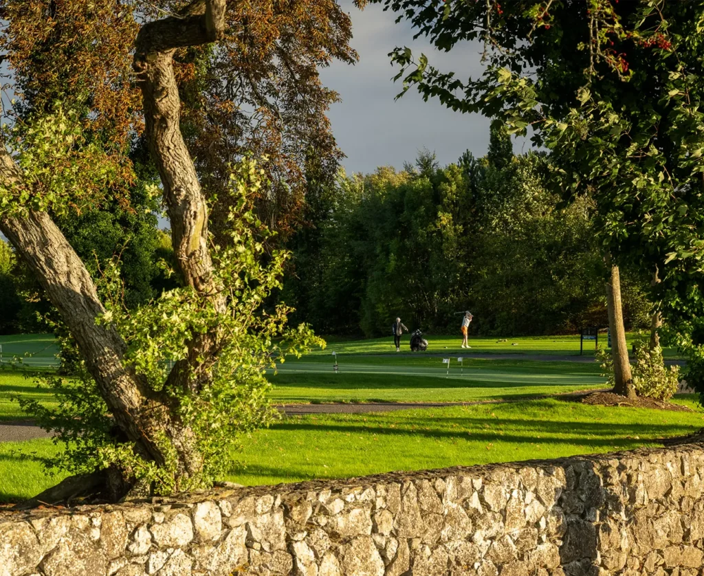 Golfer mid swing