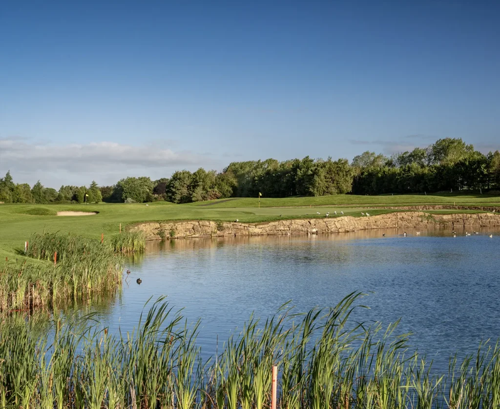 Golf flag from across water feature