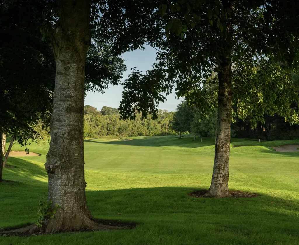 golf fairway between trees